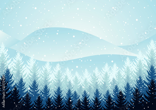 winter evening pine forest. falling snow in the air. christmas theme. new year weather. background