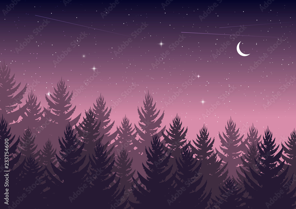 Bạn đã từng được trải nghiệm khi đi dạo trong rừng thông đêm đông và ngắm nhìn tổng thể của trời đầy sao và mặt trăng kia chưa? Nếu chưa, hãy xem những bức ảnh này để cảm nhận được vẻ đẹp trời đêm khó tả của thiên nhiên.