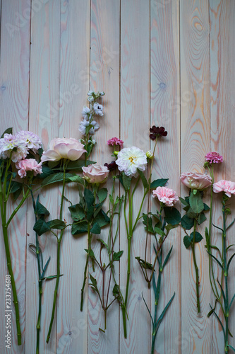 Fototapeta Naklejka Na Ścianę i Meble -  young flowers on rustic wooden boards background