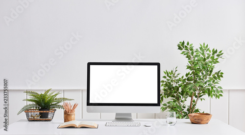 White wall desktop and computer screen white desk vase of plant and book object.