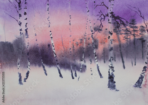 twilight in the winter forest
