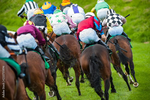 Horse race galloping aroud a sharp turn on the racetrack