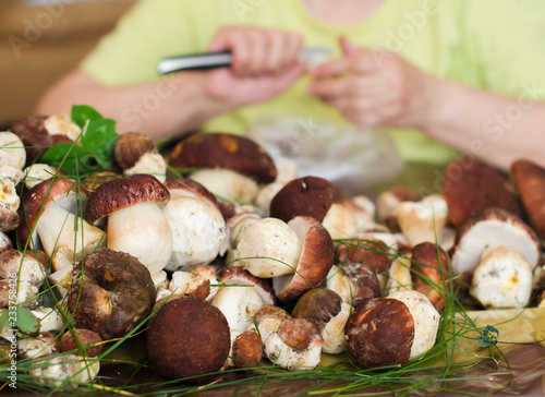 Grandmother cuts porcini mushrooms in a large yellow plate