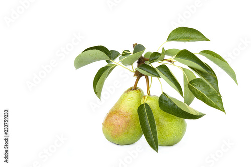 Wallpaper Mural Two fresh Williams pears with leaves isolated on white background Torontodigital.ca