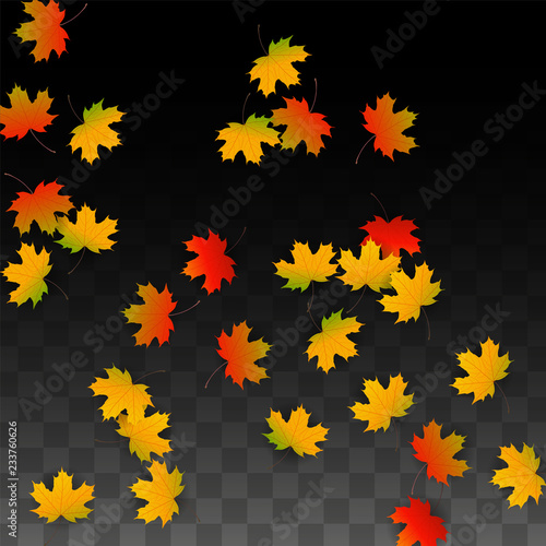 September Vector Background with Golden Falling Leaves. Autumn Illustration with Maple Red, Orange, Yellow Foliage. Isolated Leaf on Transparent Background. Bright Swirl. Suitable for Posters.