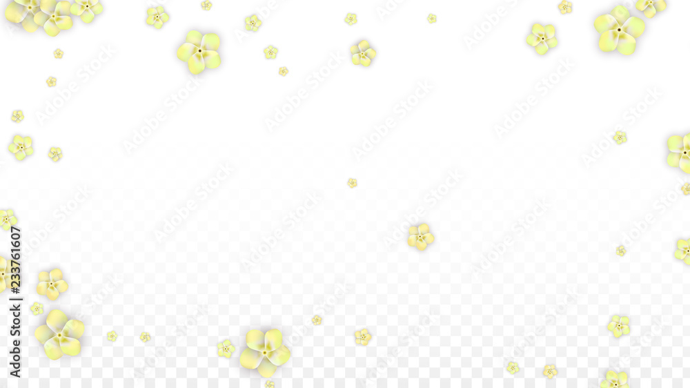 Vector Realistic Yellow Flowers Falling on Transparent Background.  Spring Romantic Flowers Illustration. Flying Petals. Sakura Spa Design. Blossom Confetti. Design Elements for Wedding Decoration.