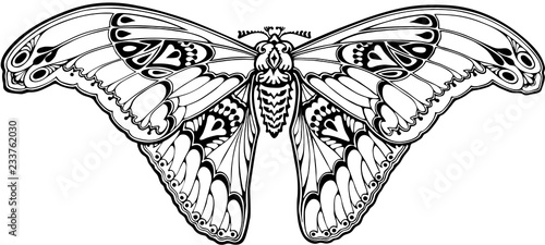 Butterfly in art nouveau style