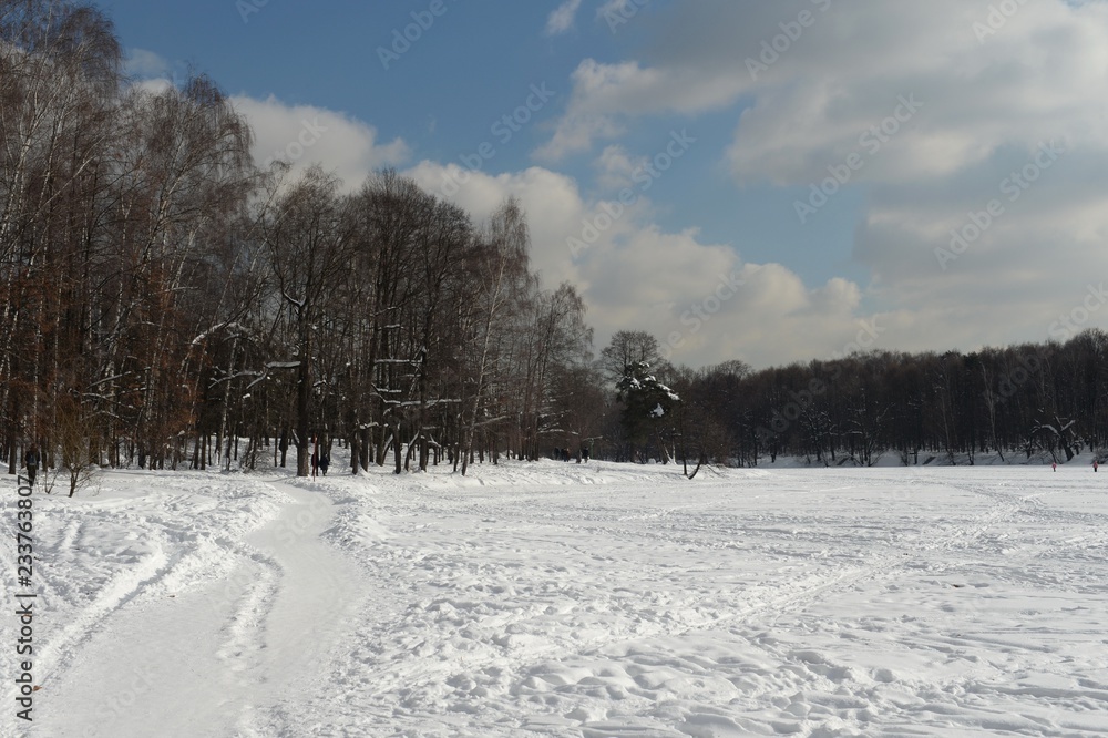 Winter Shibaevsky pond in the natural-historical park Winter Shibaevsky pond in the natural-historical park