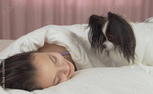 Papillon dog wakes teen girl in the bed