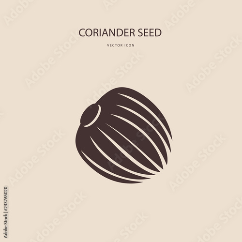 Vector icon of coriander seed