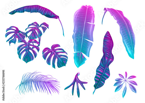 Set of tropical leaves in nein colors