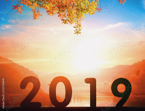 2019 New Year concept: 2019 at sunset background