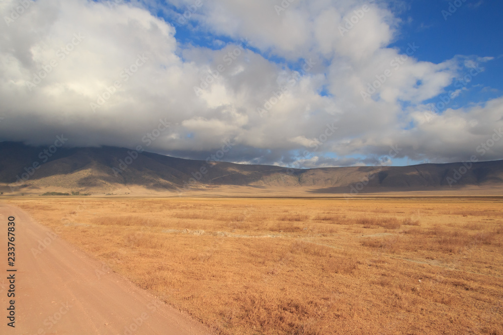 Ngorongoro Crater rim and vast area within Ngorongoro Crater rim and vast area within