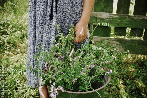 gardener with flowers in garden