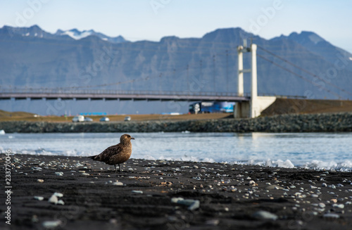 Fotografie Icelandic landscape