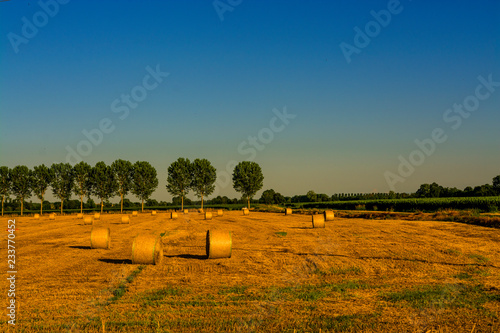 Milan, Italy - fields with hay bales