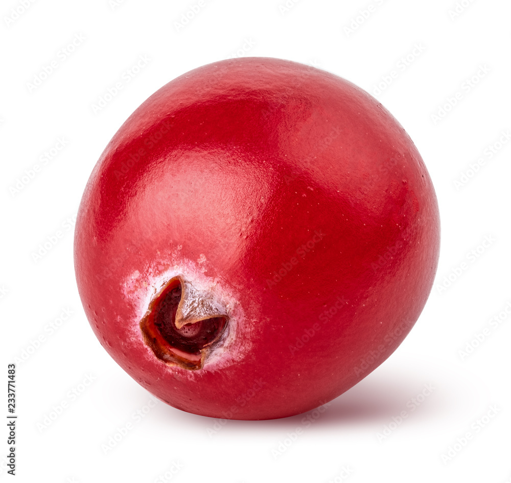 Obraz premium Red cranberry isolated on white background. Clipping path