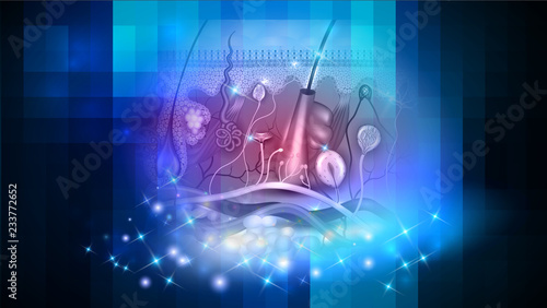 Human skin anatomy cross section detailed structure abstract blue glowing design