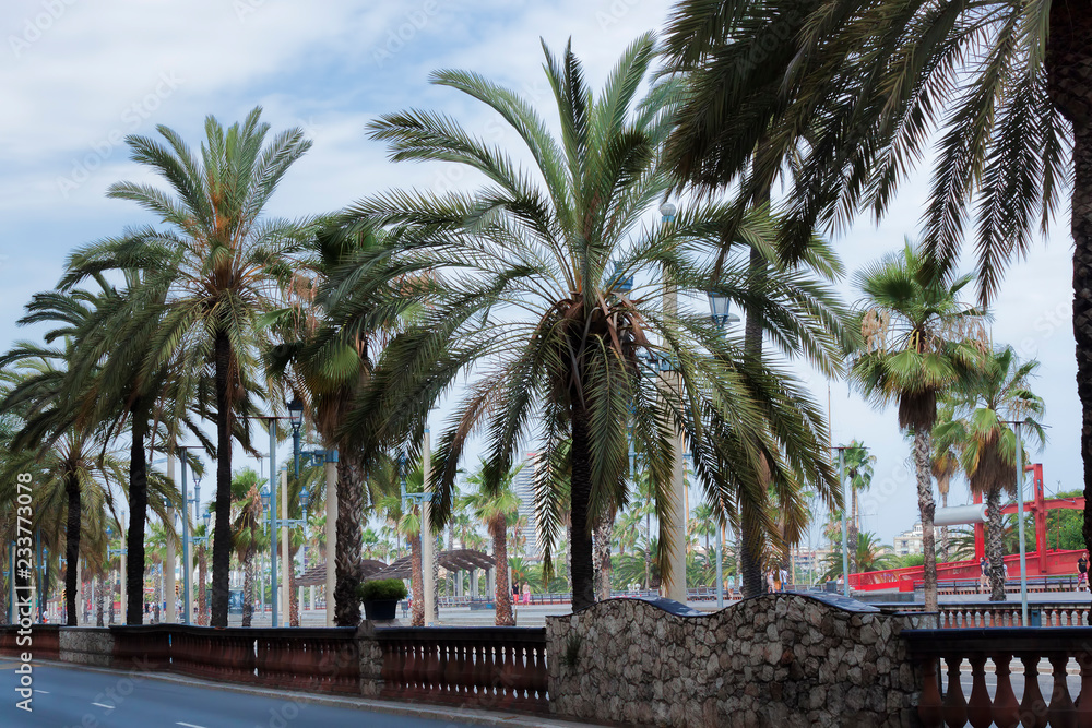 Fototapeta premium On Columbus Avenue in Barcelona