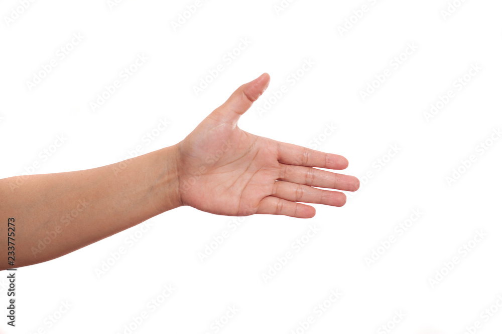 Hands Gesture Set Isolated on White, Offering Hand Shake