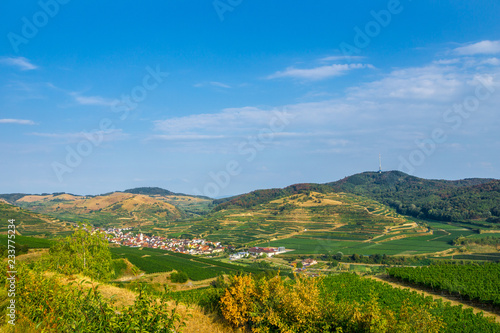 Germany, Vogtsburg Oberbergen village in Kaiserstuhl vineyard mountains