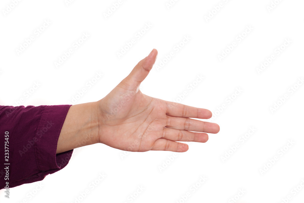 Hands Gesture Set Isolated on White, Offering Hand Shake Hands Gesture Set Isolated on White, Offering Hand Shake