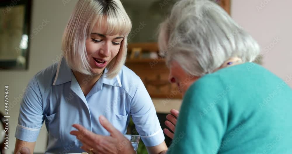 Female Carer Serving Lunch To Senior Woman At Home Female Carer Serving Lunch To Senior Woman At Home