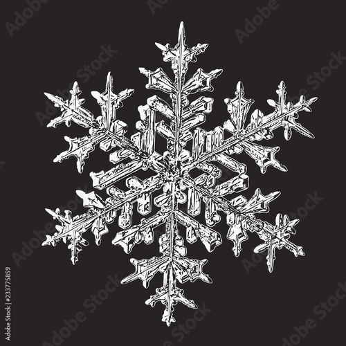 Vector illustration based on macro photo of real snowflake: beautiful stellar dendrite snow crystal with fine hexagonal symmetry, complex ornate shape and six long, elegant arms with side branches.