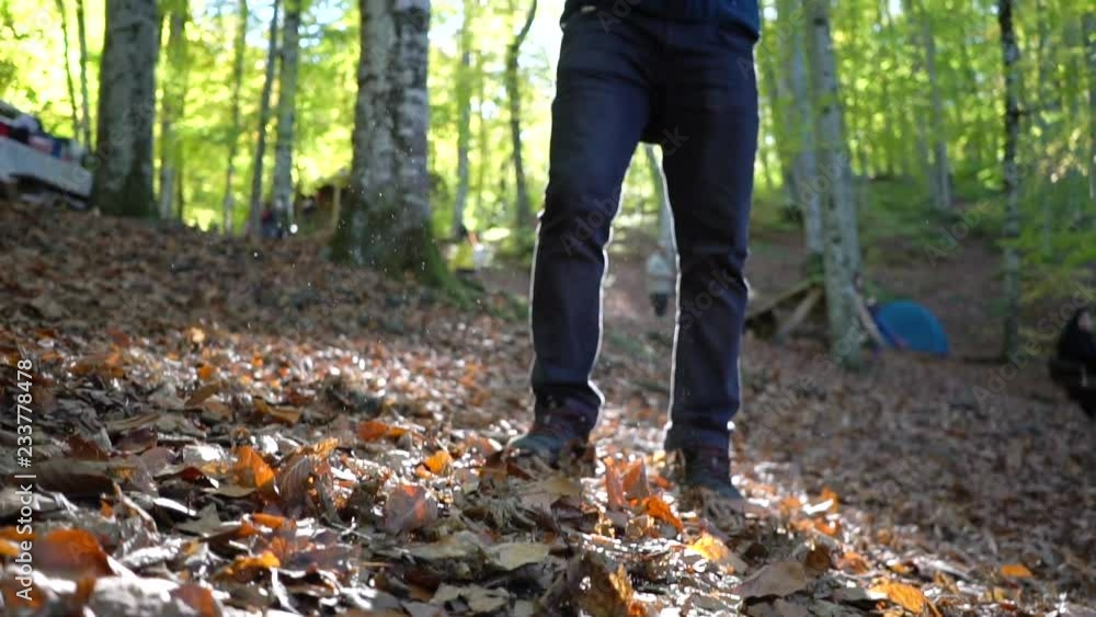 standing among leaves in a park in autumn standing among leaves in a park in autumn