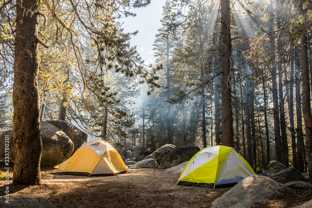 Camping in Yosemite National Park