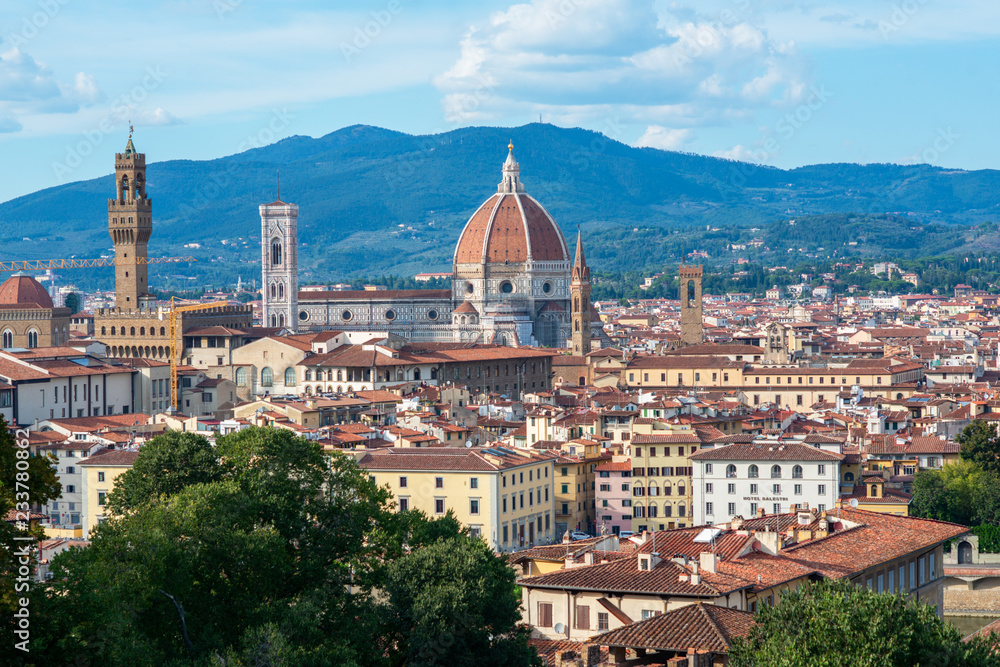 Ancient city center, Florence, Tuscany, Italy. Varicoloured beautiful building in ancient European town, view from Boboli Gardens, Florentine amazing landscape.