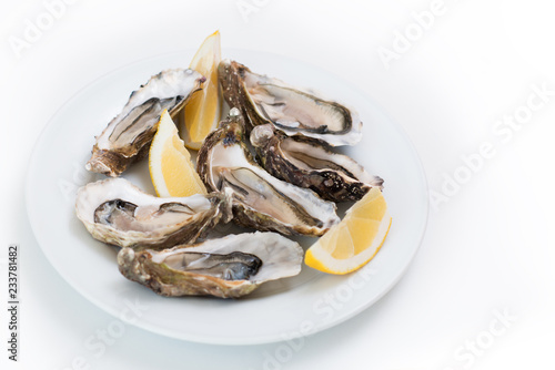 Fresh oysters. Raw fresh oysters on white round plate, image isolated, with soft focus. Restaurant delicacy. Saltwater oysters