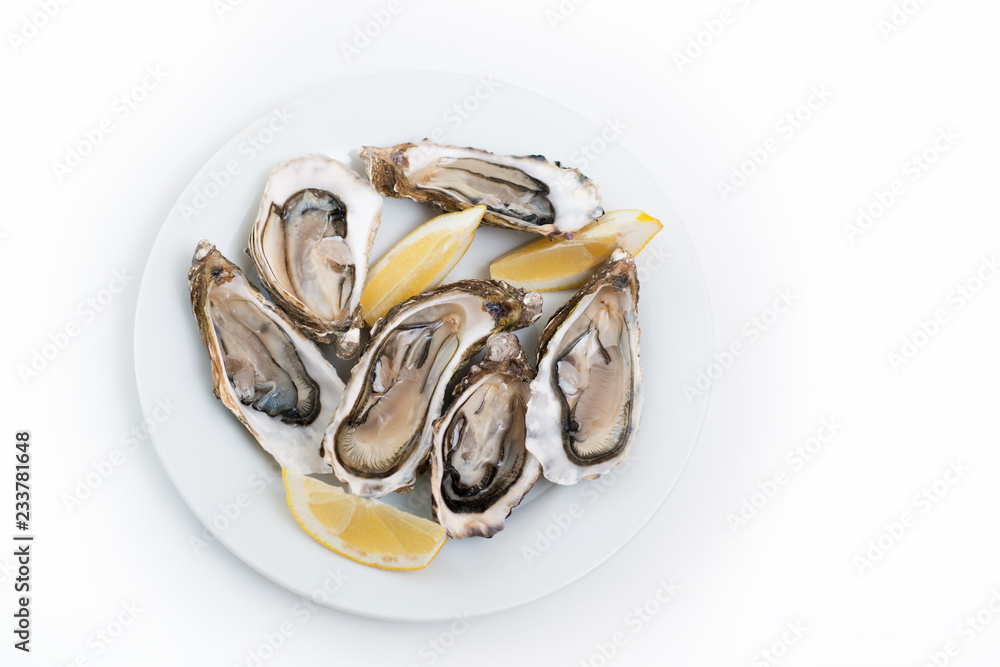 Fresh oyster. Raw fresh oyster on white round plate, image isolated, with soft focus. Restaurant delicacy. Saltwater oyster, soft focus Fresh oyster. Raw fresh oyster on white round plate, image isolated, with soft focus. Restaurant delicacy. Saltwater oyster, soft focus