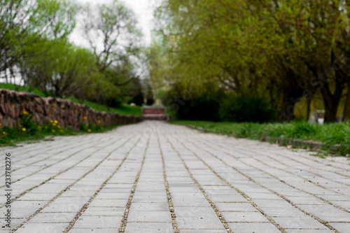 Stone pavement on the road in the park