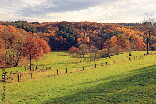 Wandern bei Waldbröl