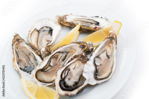 Fresh oyster. Raw fresh oyster on white round plate, image isolated, with soft focus. Restaurant delicacy. Saltwater oyster, soft focus