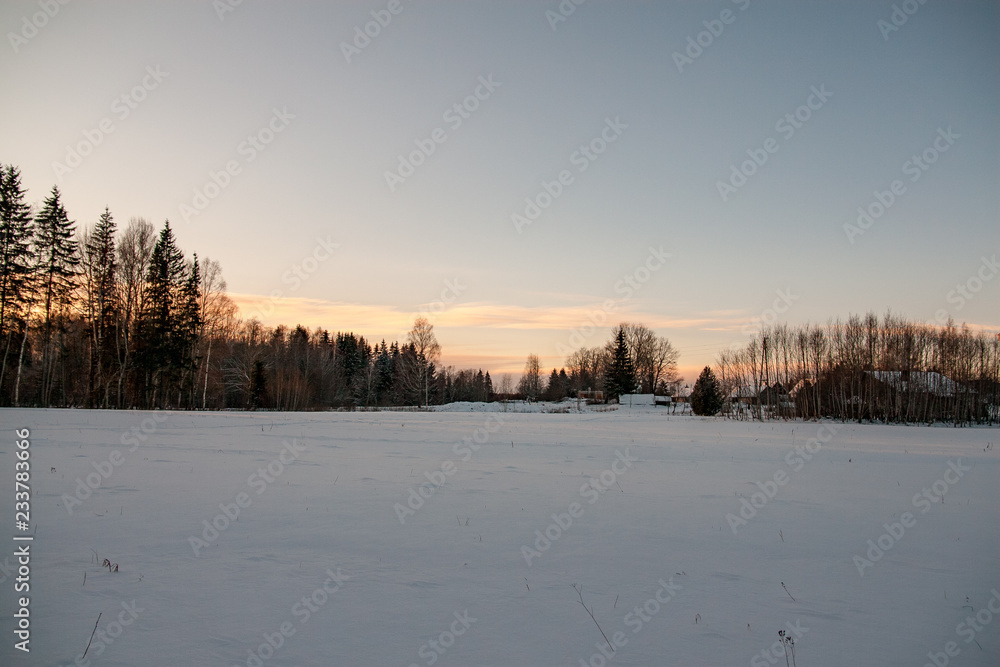 wild forest in winter with high level of snow
