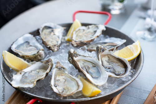 Obraz na plátně Fresh oysters with lemon's slices in ice