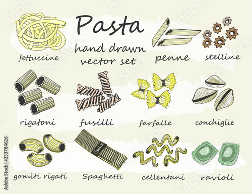 Hand drawn various sorts and shapes of pasta. Colored graphic vector set. All elements are isolated 