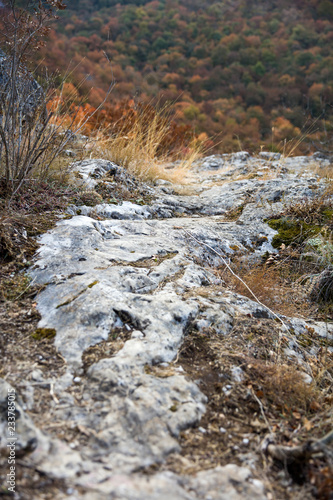 Autumn countryside near Sok...