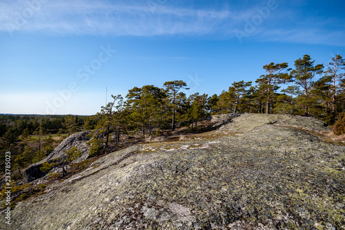 rocky coastline in Finland with few pine trees