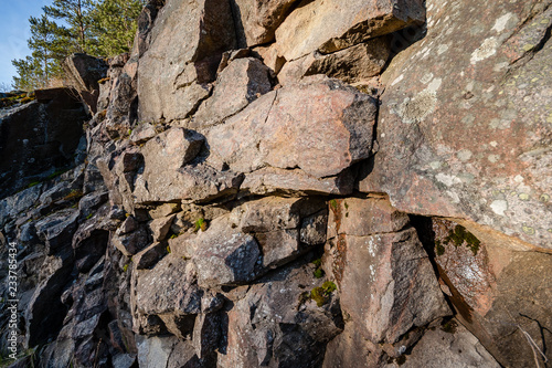 rocky coastline in Finland with few pine trees