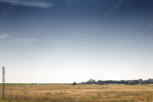 east mersea landscape