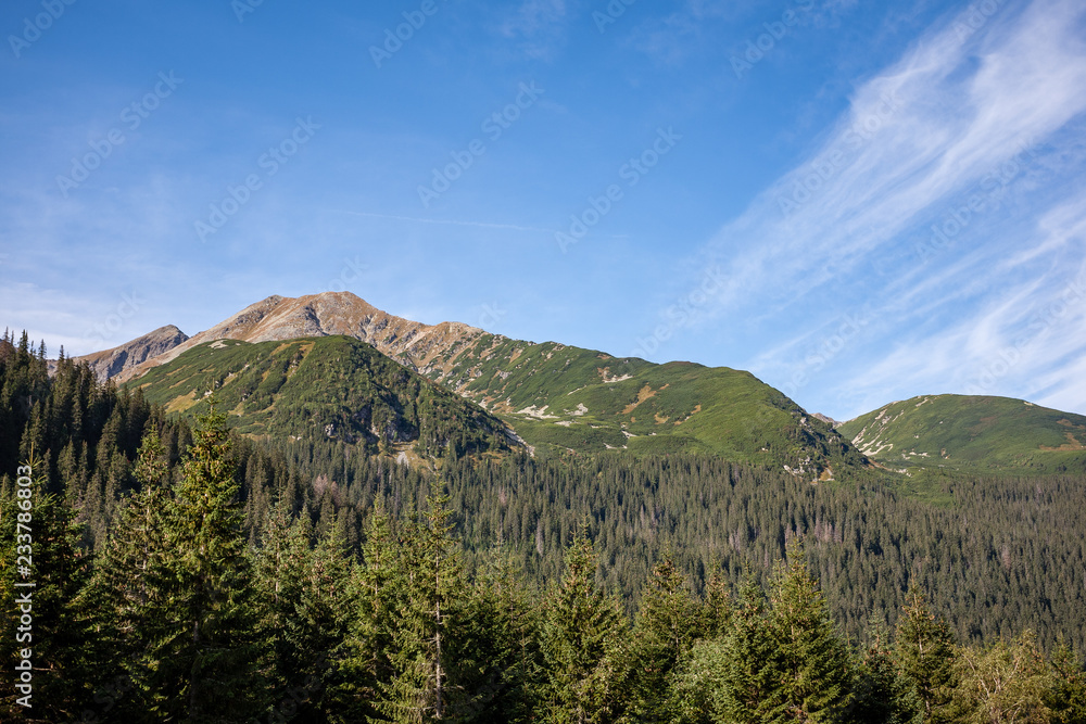 Fototapeta premium cloudy and misty Slovakian Western Carpathian Tatra Mountain skyline covered with forests and trees