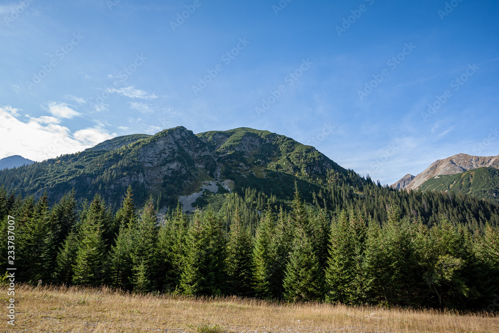 Obraz premium cloudy and misty Slovakian Western Carpathian Tatra Mountain skyline covered with forests and trees