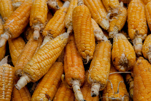corn on the cob corn background, corn background
