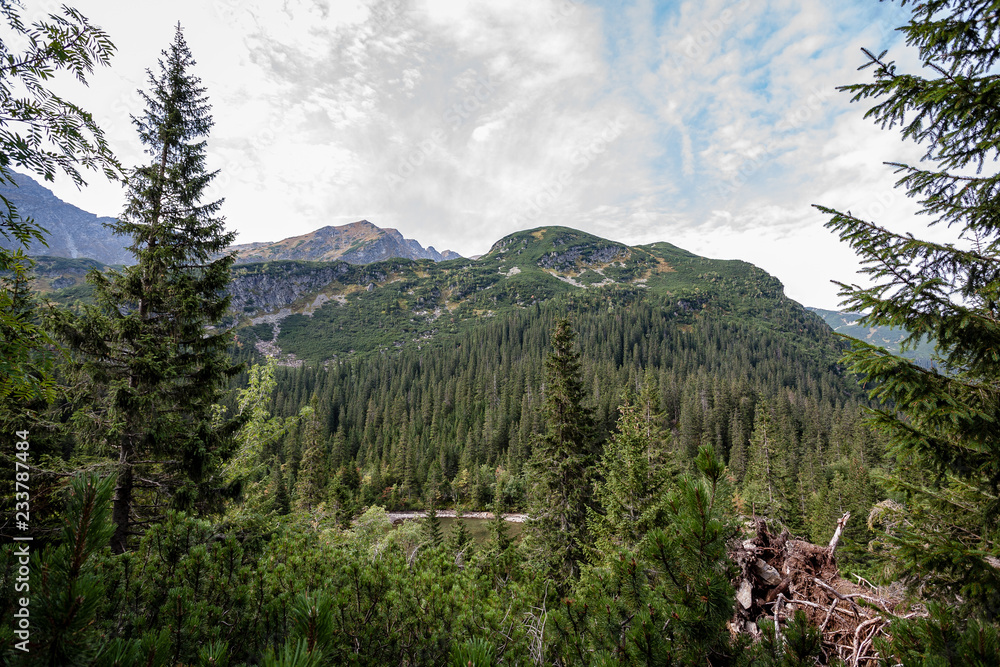 Obraz premium cloudy and misty Slovakian Western Carpathian Tatra Mountain skyline covered with forests and trees