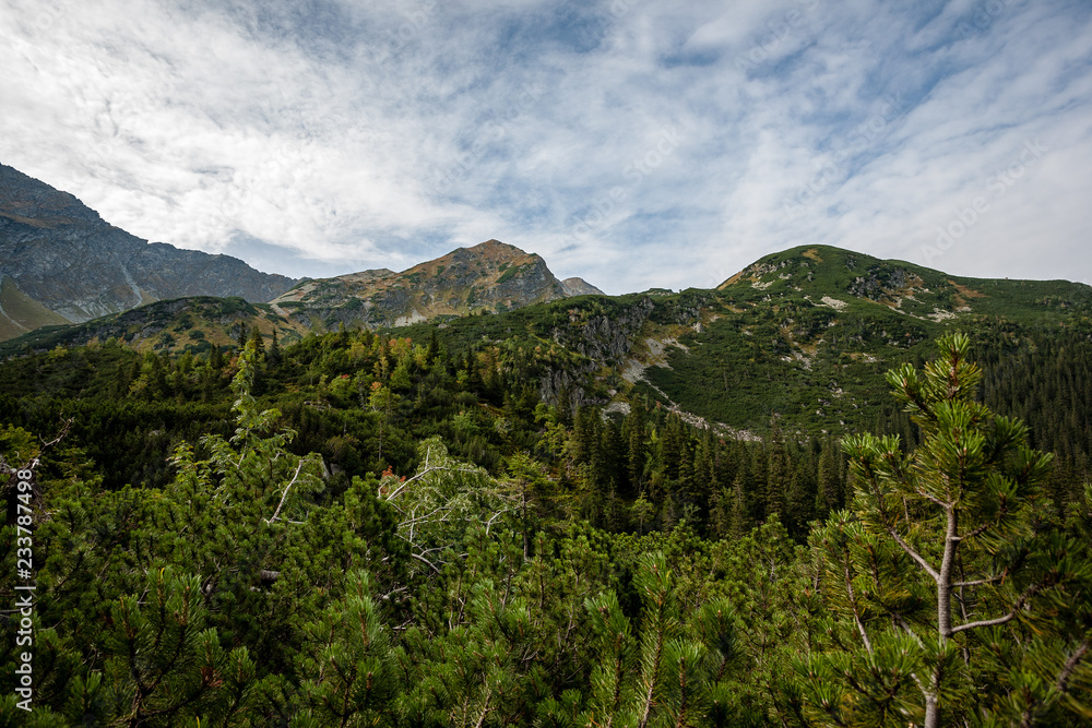 cloudy and misty Slovakian Western Carpathian Tatra Mountain skyline covered with forests and trees