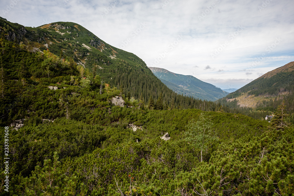Fototapeta premium cloudy and misty Slovakian Western Carpathian Tatra Mountain skyline covered with forests and trees