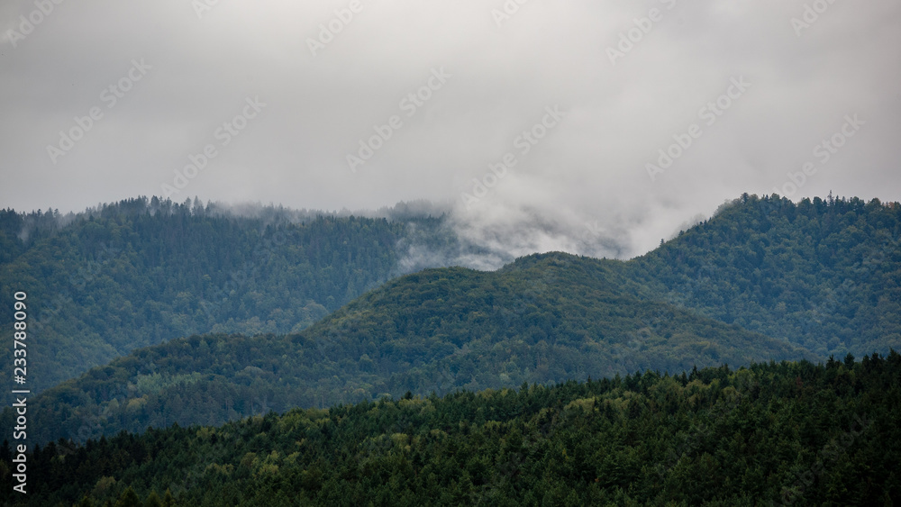 cloudy and misty Slovakian Western Carpathian Tatra Mountain skyline covered with forests and trees